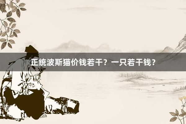 正统波斯猫价钱若干？一只若干钱？